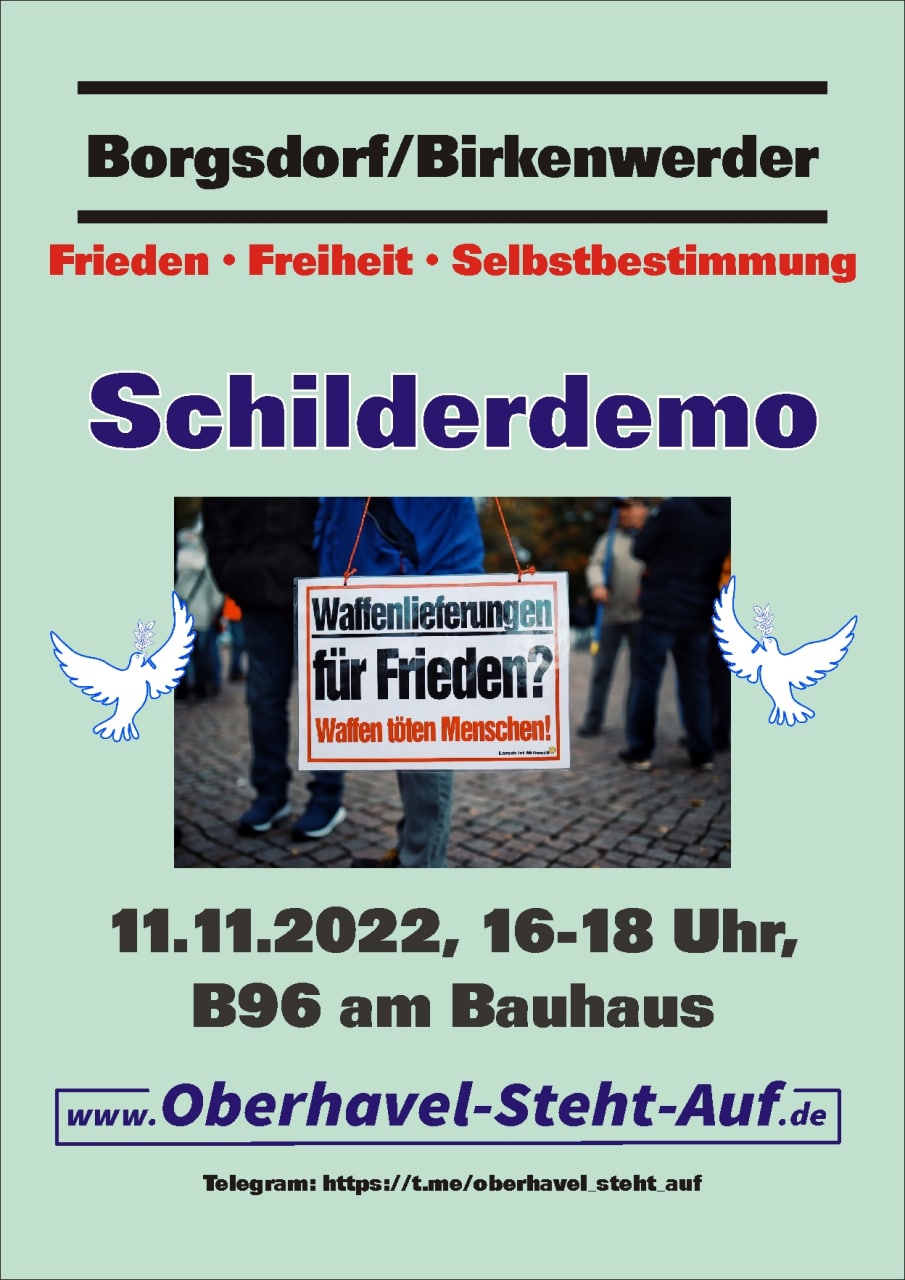 11. November 2022: Schilderdemo am Bauhaus in Borgsdorf/Birkenwerder